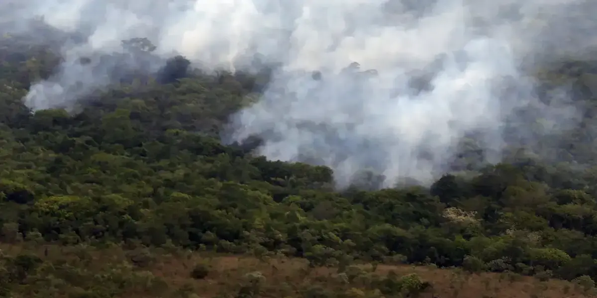 Copernicus revela queda histórica nas emissões de gases por incêndios
