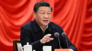 Pressão da China sobre o frango brasileiro: impactos e desafios