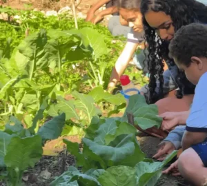 Projeto Mãos à Horta promove educação ambiental nas escolas de Itabira