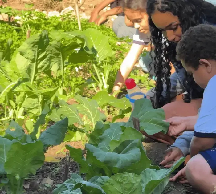 Projeto Mãos à Horta promove educação ambiental nas escolas de Itabira
