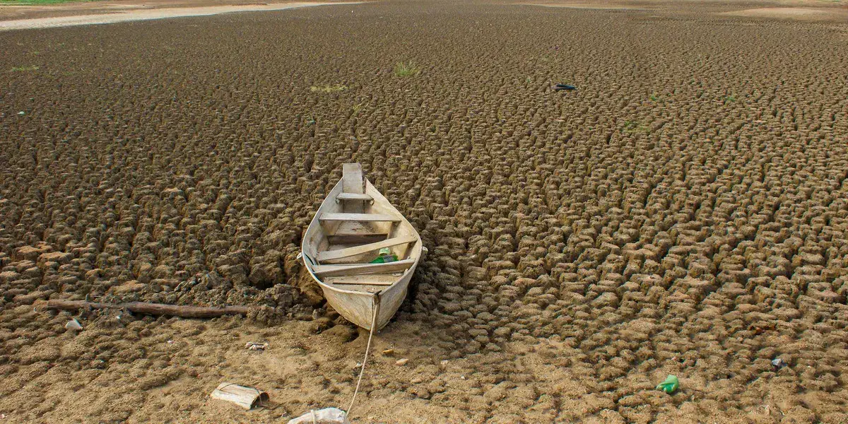 Brasil estabelece metas ambiciosas para restaurar 163 mil km² de terras até 2030