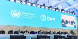 COP17: Conflitos Geopolíticos Resultam em Poucas Conquistas na Conferência sobre Desertificação