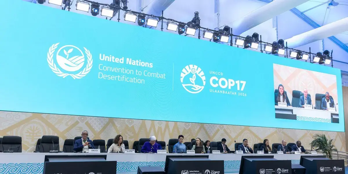 COP17: Conflitos Geopolíticos Resultam em Poucas Conquistas na Conferência sobre Desertificação