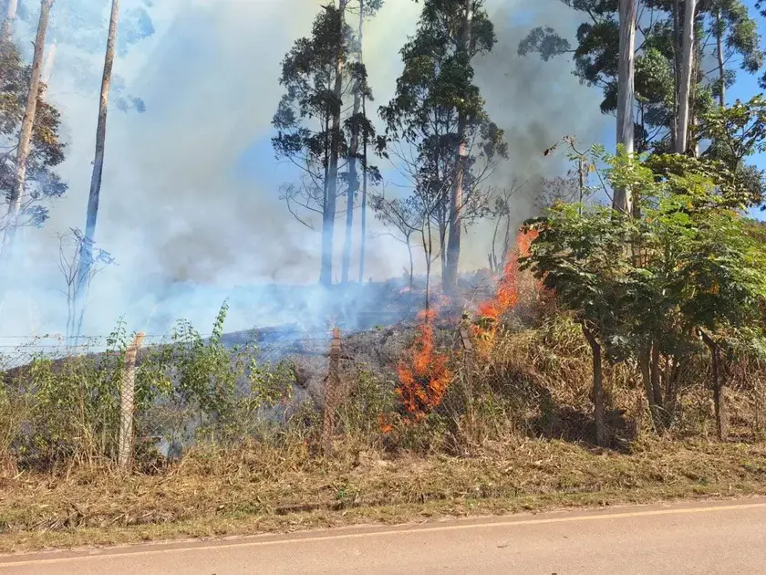Incêndio na Vale interdita Estrada 105 e mobiliza equipes em Itabira