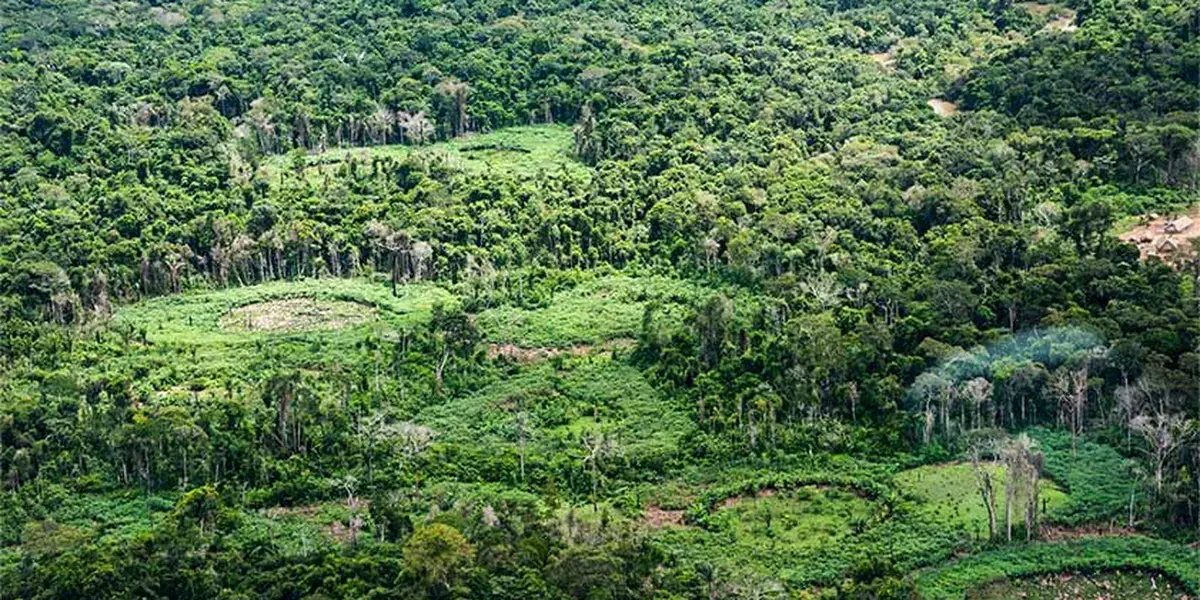 Indígenas da Amazônia catalogam espécies para resguardar biodiversidade