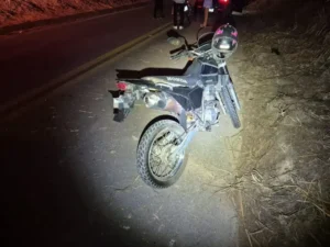 Motociclista se feriu gravemente após colidir com cavalo na MGC-120