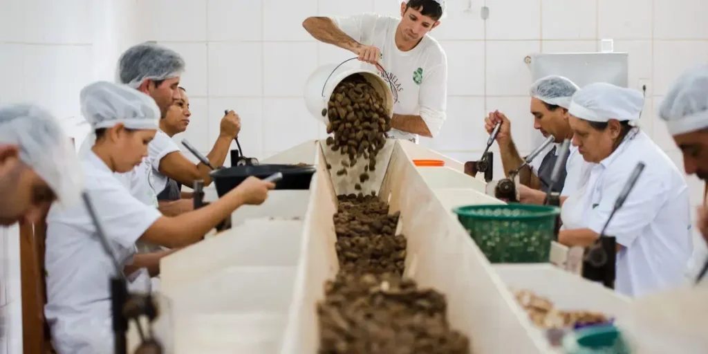 Oportunidade para Sustentáveis: Consulta sobre Mercosul–UE termina na quarta-feira
