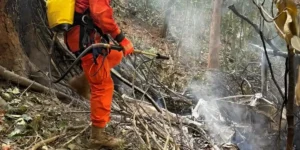 Tragédia no Rio: avó, mãe e filha colombianas morrem em queda de helicóptero