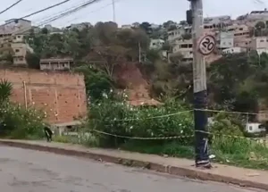 Corpo de Bombeiros isola área após colmeia de abelhas em poste de Itabira