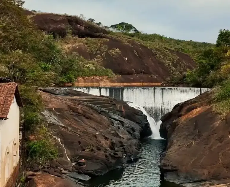 Floresta Municipal Estação Ambiental de Peti celebra 43 anos e lança site
