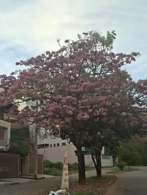Primavera inicia com expectativa de chuva e aumento da temperatura