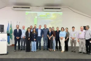 Uberlândia receberá 46 km de gasodutos