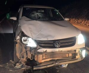 Cavalo solto na pista provoca acidente com dois veículos na MGC-120, em Itabira