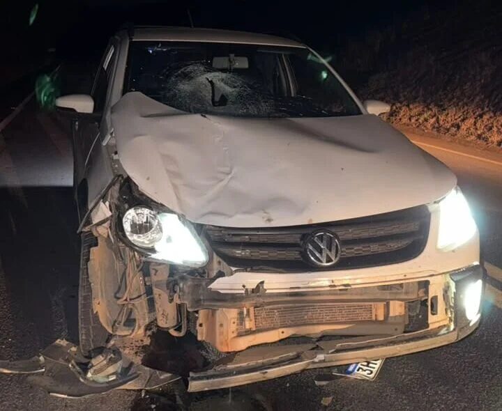 Cavalo solto na pista provoca acidente com dois veículos na MGC-120, em Itabira