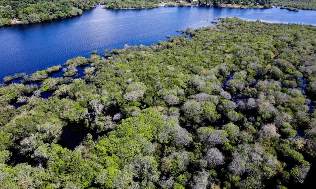 Desmatamento em áreas protegidas da Amazônia e do Cerrado tem queda