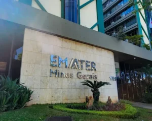 Emater-MG abre concurso com 120 vagas e salários até R$ 7.321,75