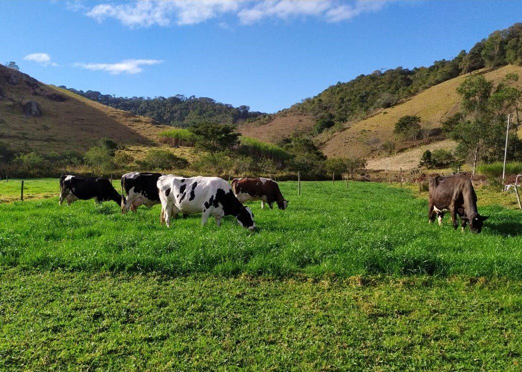 Emater-MG orienta pecuaristas com cartilha sobre construção de cercas elétricas para manejo do rebanho