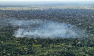 Estudo aponta atividade humana nas emissões de carbono na Amazônia