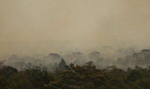 Força Nacional do SUS instala base em Manaus contra queimadas Força Nacional do SUS apoia atendimentos no Amazonas após incêndios