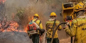 Governo federal envia aeronaves ao Amazonas para combater incêndios