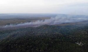 Governo intensifica reforços para combater incêndios no Pará