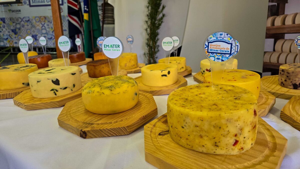 Julgamento dos finalistas do Concurso Estadual dos Queijos Artesanais de Minas Gerais acontece na próxima quarta-feira (28/10)